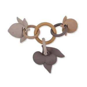 ANNEAU ACTIVITE FRUIT | Shell