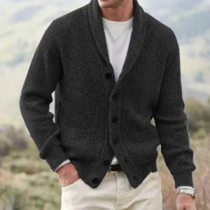 Arthur - Cardigan Laine Col V Homme