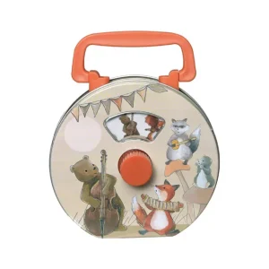 BOITE A MUSIQUE | Musiciens