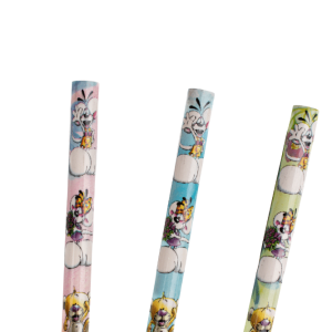 CRAYON A PAPIER DIDDL