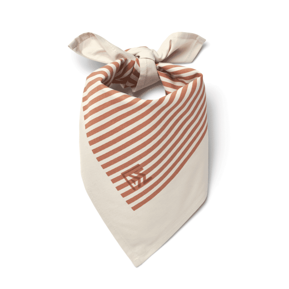 FOULARD BANDANA LOT DE 2 | Horse rosetta – Image 3