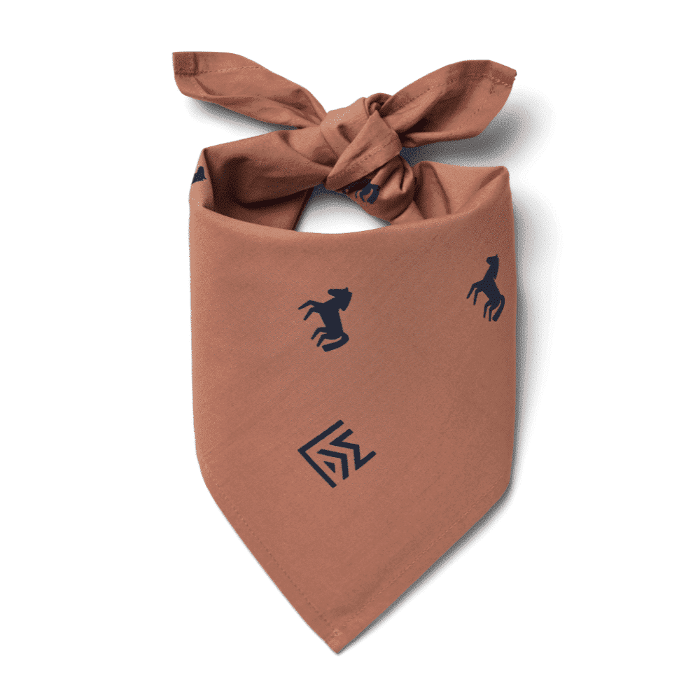 FOULARD BANDANA LOT DE 2 | Horse rosetta – Image 4