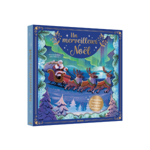LIVRE | Un merveilleux noel